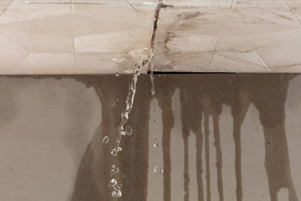 Professional Burst Pipe Cleanup technician working in Milan, OH